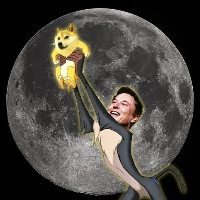 DOGE TO MOON