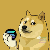 Dogecoin on SOL