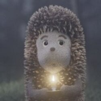 Hedgehog in the fog