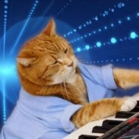 Keyboard Cat (Base)