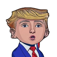 Mini Donald