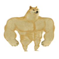 Swole Doge